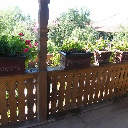 Εξοχικό σπίτι Pensiunea Casa Filoxenia Horezu