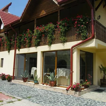 Pensiunea Casa Filoxenia Εξοχικό σπίτι Horezu