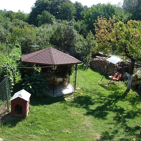 Pensiunea Casa Filoxenia *