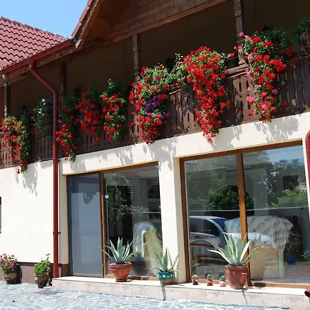 Pensiunea Casa Filoxenia *